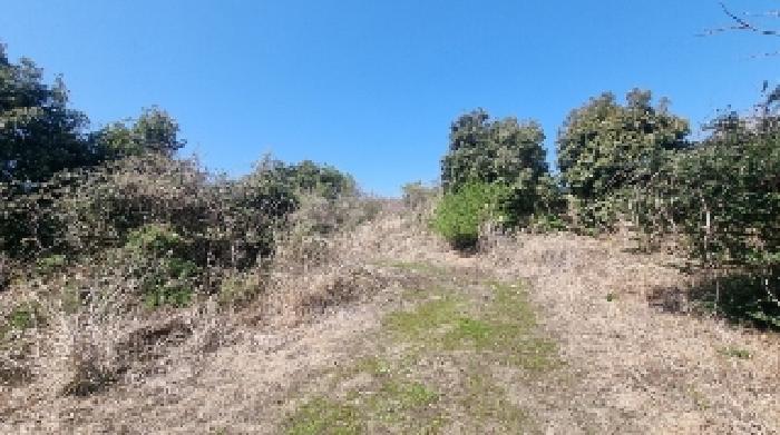 B000530202501300075791.jpg