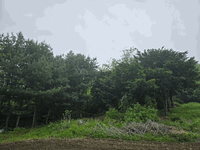 B2148072025013000213813.jpg