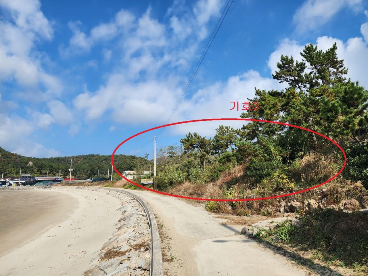 전라남도 신안군 비금면 내월리 1210
