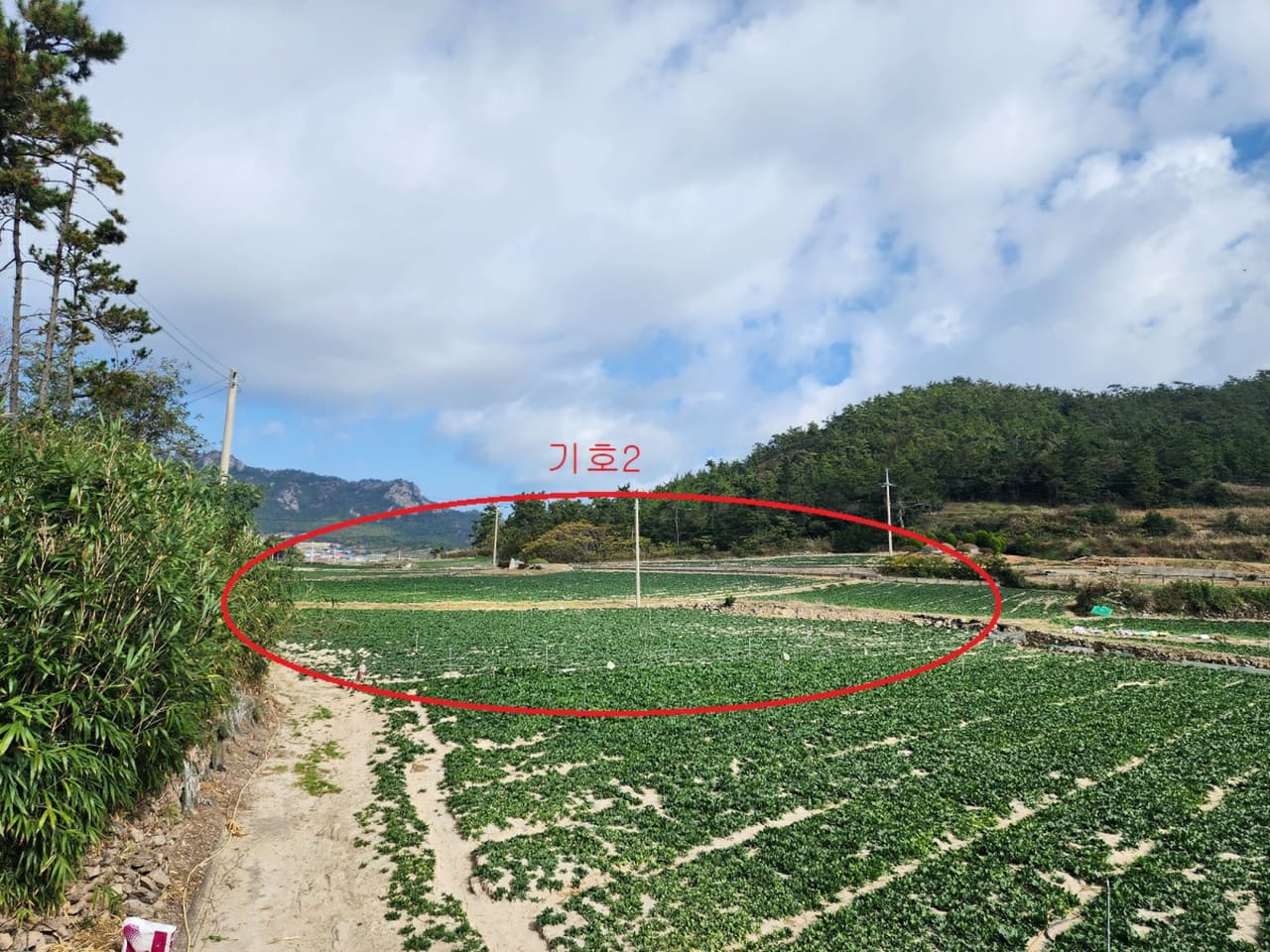 전라남도 신안군 비금면 내월리 산 220