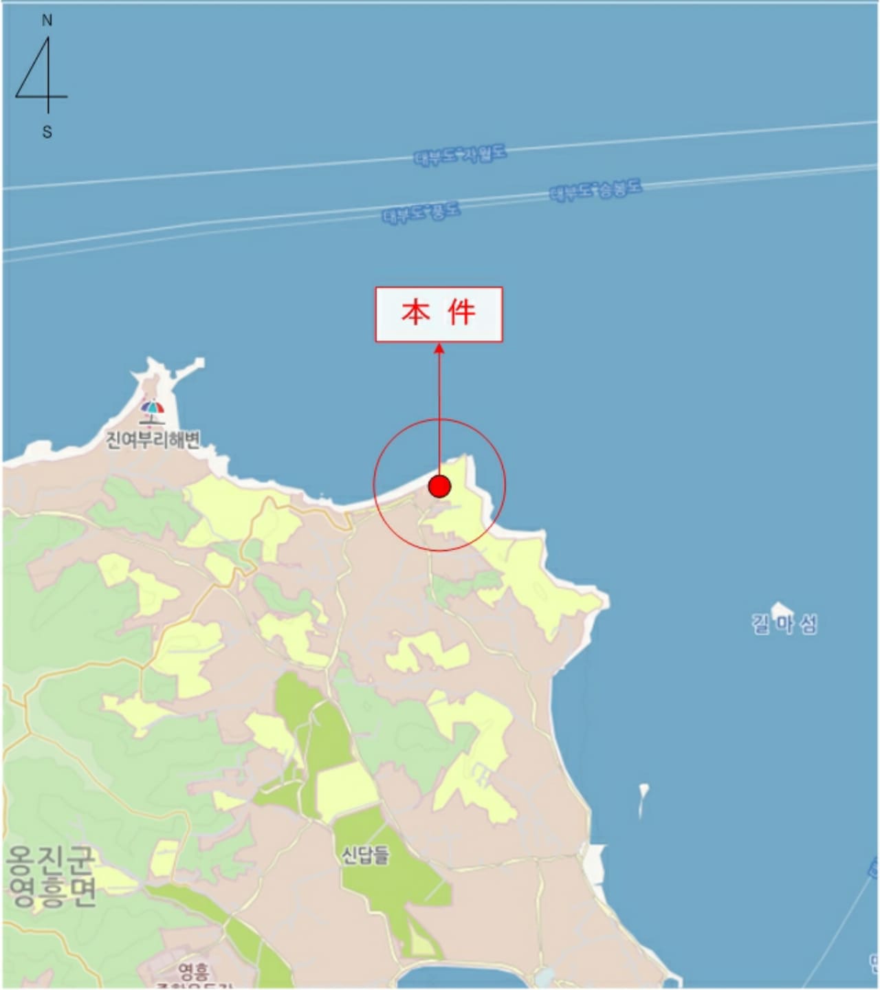인천광역시 옹진군 영흥면 내리 724-132 제3층 제302호