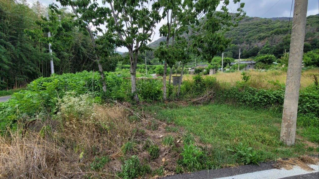 경상남도 밀양시 하남읍 남전리 969